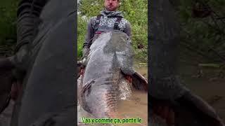 Fishing mega fish #sports #fishing #funny #shorts