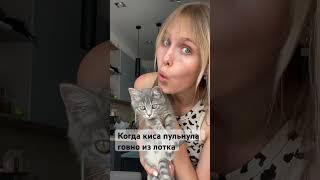 Да ладно, я шучу. Ей простить могу и не такое #кошка #котенок #жиза #смешно