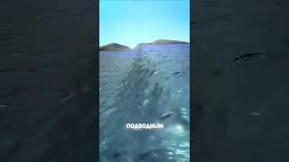 Разрушительное цунами 2004 года  #факты #facts #цунами #tsunami #море #остров #полезное #будьлучше