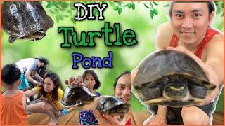 DIY Turtle Pond | Team Tusoy