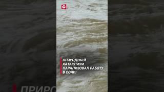 Природный катаклизм парализовал работу в Сочи! Что известно о cтихийном бедствии в России? #shorts