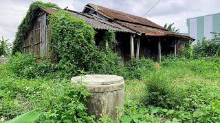 NIGHTMARE vegetation completely covers the  Abandoned House after many years of Neglect .