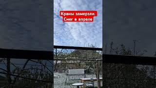 Вернулись домой в Скалско, Болгария и тут такое...