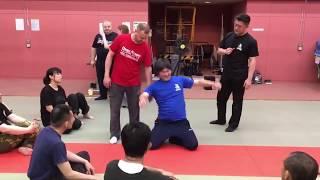 Mikhail & Daniil Ryabko  Systema Japan Systema Mastery Seminar 3 Special Class 25th May 2018 Clip 9