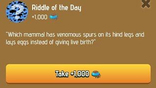 riddle of the day zoo | riddle of the day zoo code | riddle of the day zoo today | 17 December