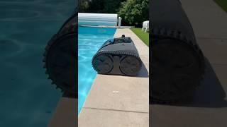 How it climbs the pool walls I have no idea…