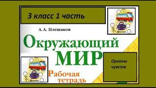 Окружающий мир 3 класс рабочая тетрадь. Органы чувств