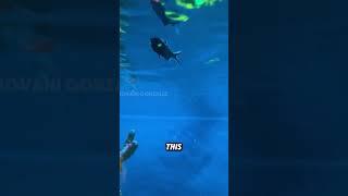 This fish looks like real-life Venom#animals #funnyanimal #funny #cool