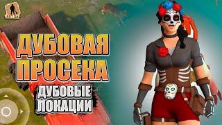 ДУБОВЫЕ ЛОКАЦИИ ЛАСТ ДЕЙ!!! ДУБОВАЯ ПРОСИКА - Last Day on Earth: Survival