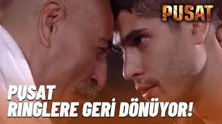 Pusat Boks Ringine Geri Dönüyor! Bölüm-2 2019 YENİ