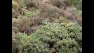 Zip LINE Superslide