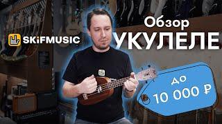 Обзор укулеле до 10000 рублей | SKIFMUSIC.RU