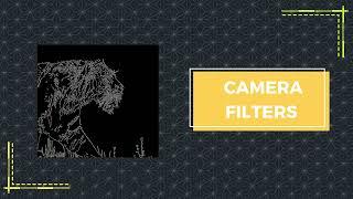 Camera filters in OpenCV