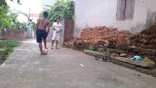 playing with a jackfruit tree