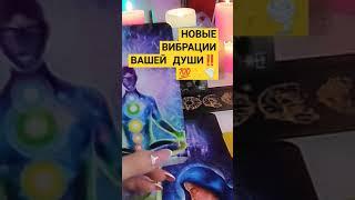 НОВАЯ ЛЮБОВЬ‼️#tarot #магия #таро