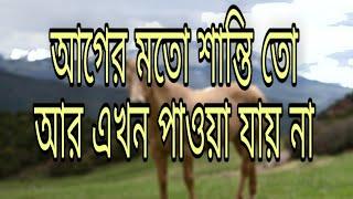 আগের মতো শান্তি তো আর এখন পাওয়া যায় না গজল   #Real tv  #Real tv press #Islamic song