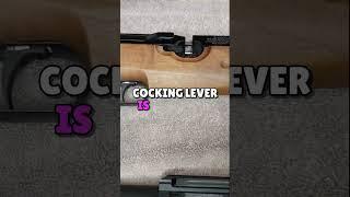 Bullpup vs Carbine: The Ultimate Weihrauch Showdown