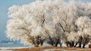 Дубоссары. картинная галерея. Зима снежная. Фото В. Стародубов.