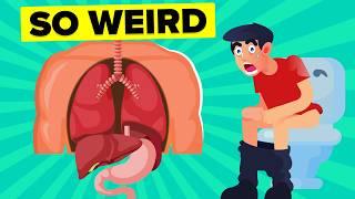 INSANE Human Body Facts They Don’t Teach In School
