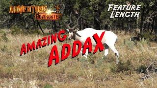 Amazing Addax Antelope