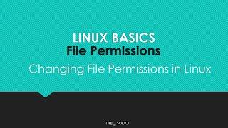 Linux Basics: Linux File Permissions // How To Change Linux File Permissions