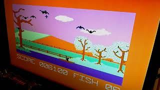 Commodore 64, Flying Feathers, Skill 5, 11300 points