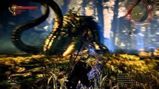 2011-05-22 PC Witcher 2: Kayran Boss Battle (with strategy in description)