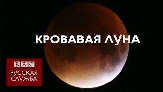 "Кровавая Луна": когда затмение совпадает с суперлунием - BBC Russian