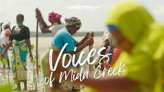 Voices of Mida Creek : SeaTrees Mida Creek Mangrove Forest Restoration Project