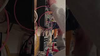 Make Noise Black and Gold shared System #modularsynth  #makenoise #eurorack