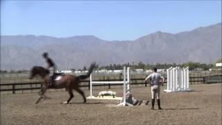 Lesson with McLain Ward