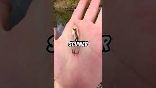 Catch and cook  #fishing #fish