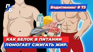 Как белок в питании помогает сжигать жир