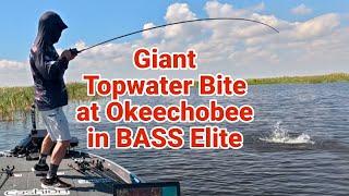 Giant Topwater Bite Helps Big O BASS Elite in 2025