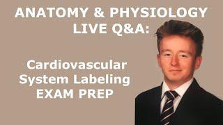 Anatomy & Physiology LIVE Q&A: Cardiovascular System: Blood Flow, ECG, Clinical Exam Prep