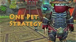 Taran Zhu ( Celestial Tournament ) One Pet Strategy Guide