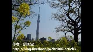 Spring of Tokyo Sky Tree