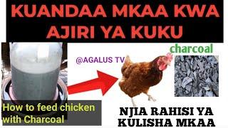 JINSI YA KULISHA MKAA KUKU WAKO/How to feed your chicken with Charcoal