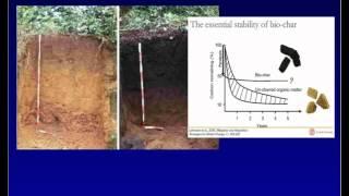 Biochar Basics