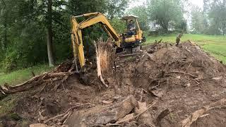 Cleaning up a fallen tree with an excavator