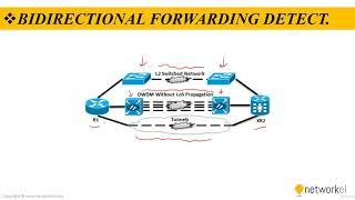 Bidirectional Forwarding Detection BFD #Detection, #Bidirectional