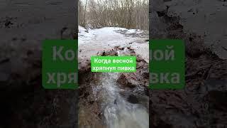 Когда весной хряпнул пивка