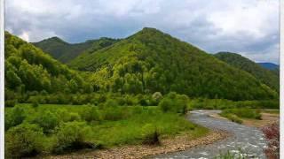 Ольга Богомолець.  Ой, Андрійку.