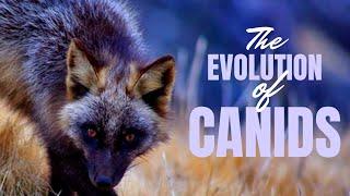 The Evolution of Canids ~ with David Ian Howe