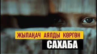 Жылаңач аялды көргөн сахаба / Таасирдүү окуя / Кыргызча котормо