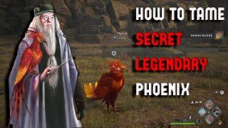 Hogwarts Legacy - New SECRET Legendary Beast How to Obtain Dumbledores Phoenix (Rarest Beast)