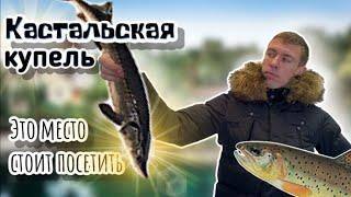 Кабардинка. Форелевое хозяйство в Кастальсой купели. Море, пляж, набережная. ( Папа Может)