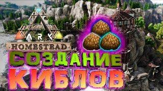 ГАЙД ПО НОВЫМ КИБЛАМ   ARK HOMESTEAD LAST UPDATE!