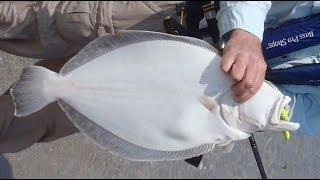 How to Catch Flounder from Shore with Bucktails and Gulp