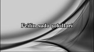 Felin sadə şəkilləri // Mövzunun izahı